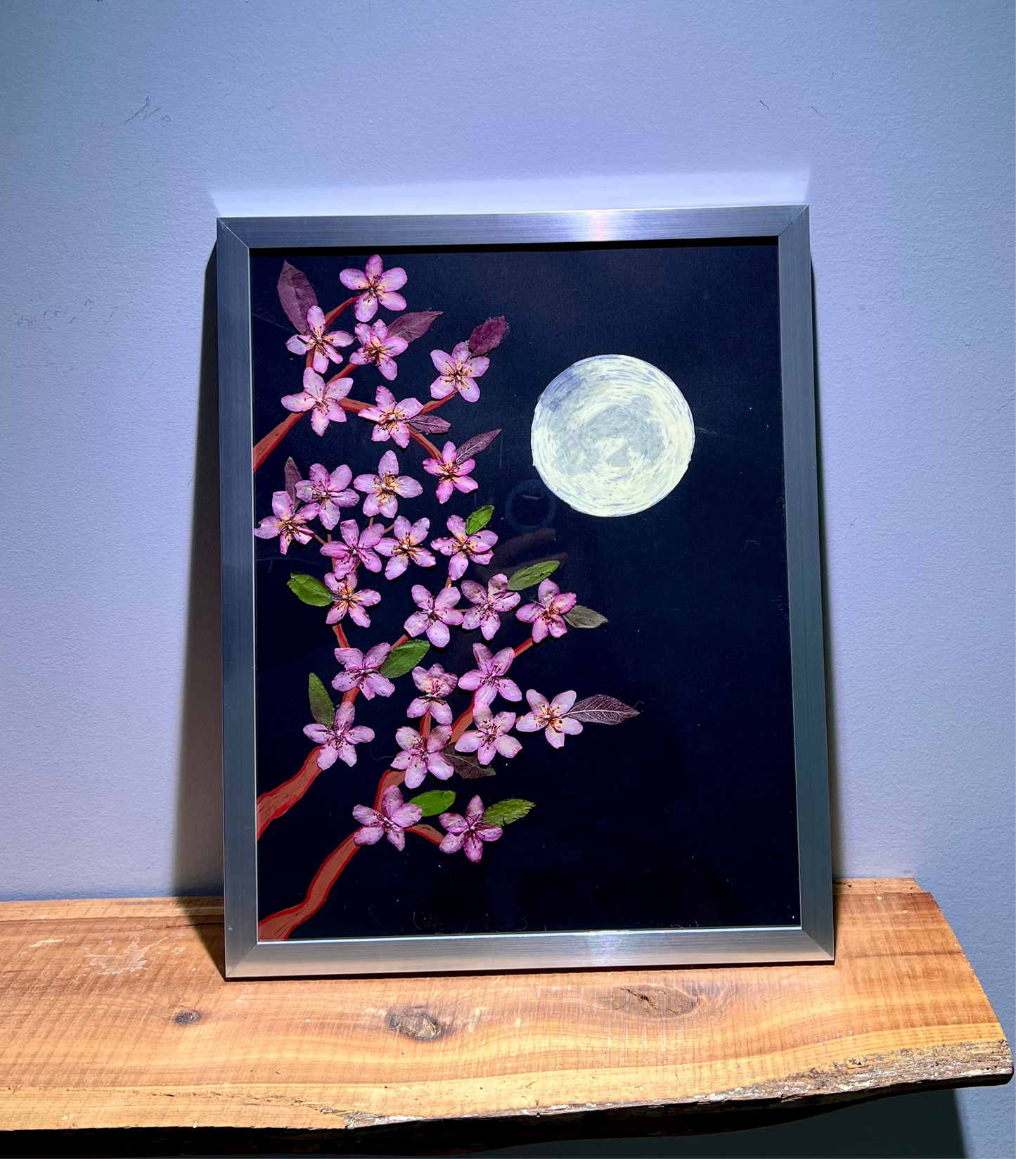 Cherry blossoms embracing the moon