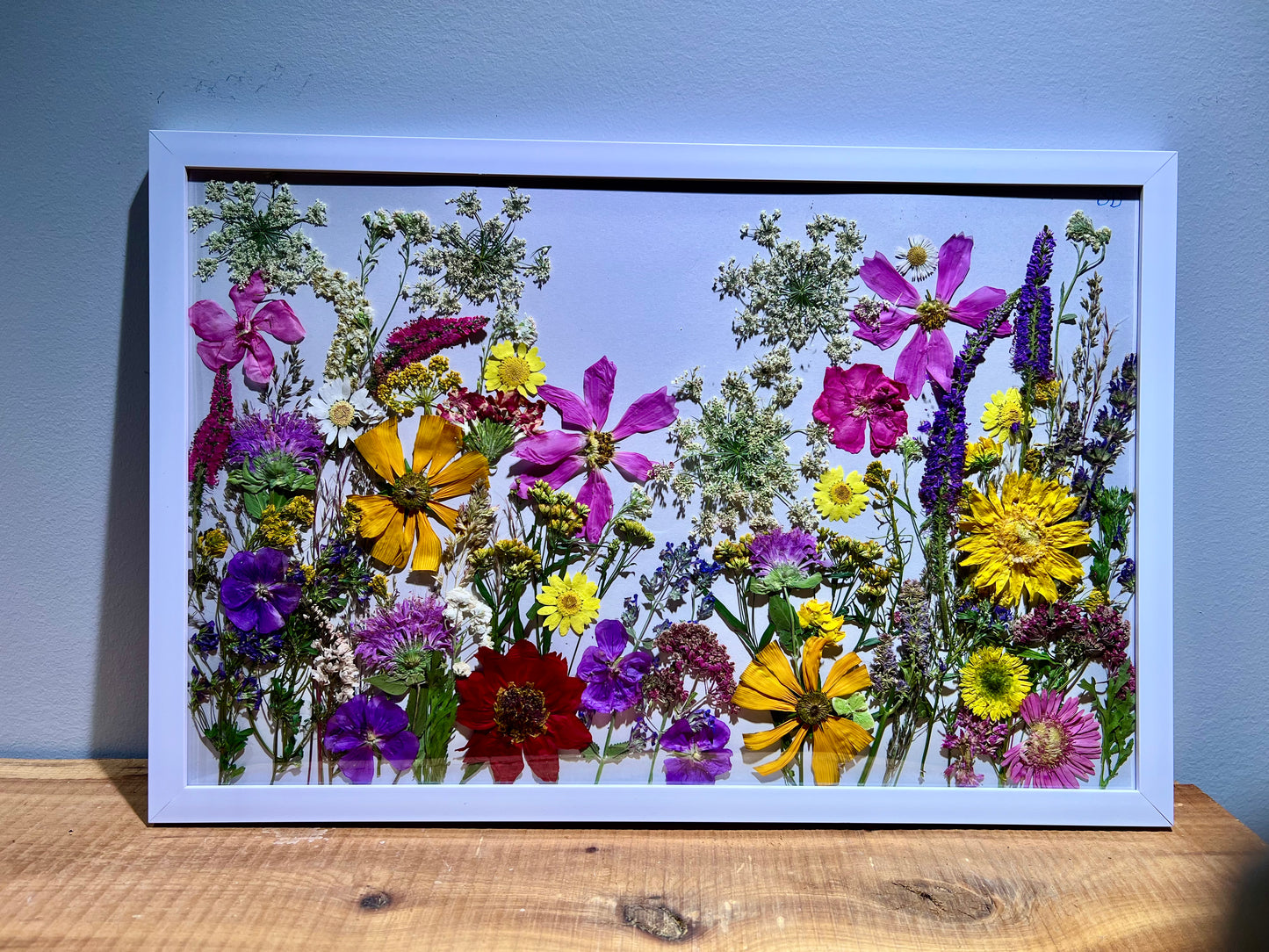 Meadow memories