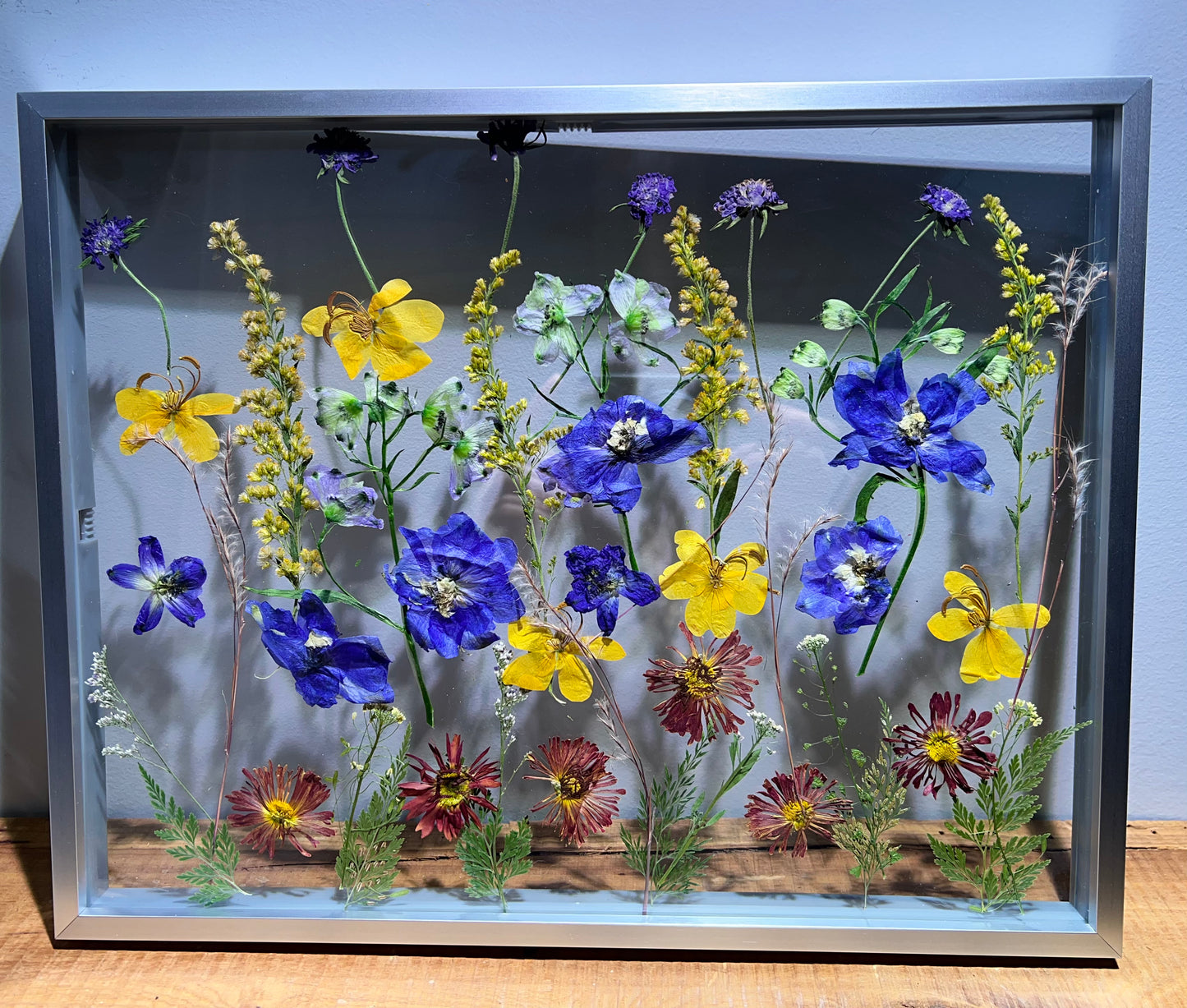 Summer aquarium