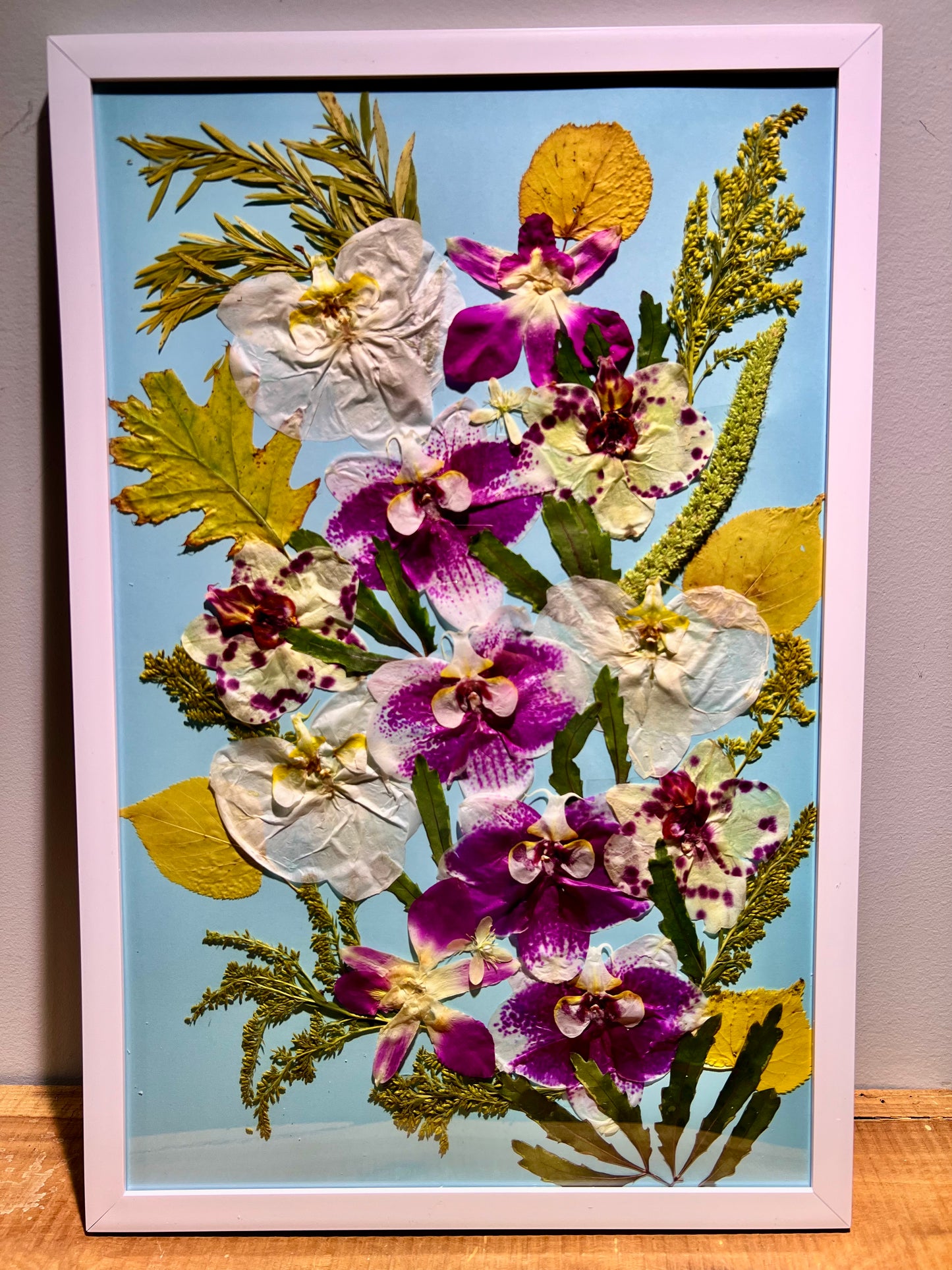 Orchids paradise