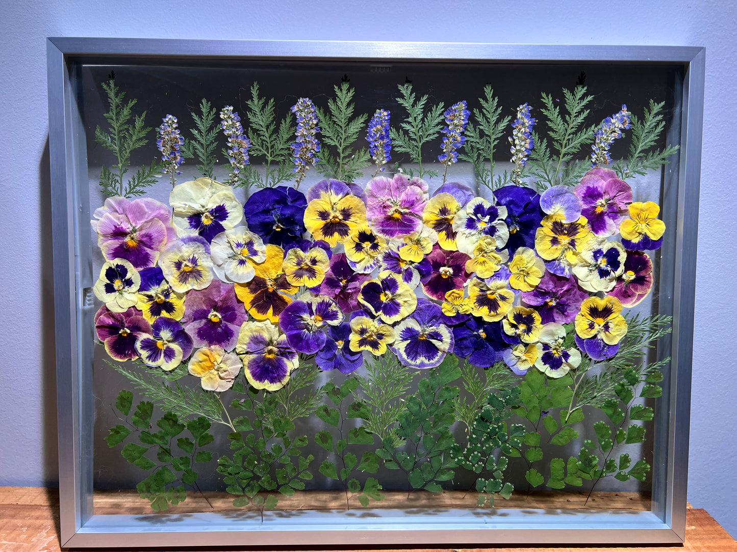 Pansies meadow