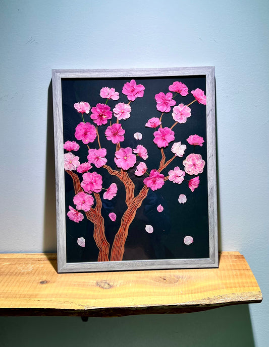 Fallen cherry blossom