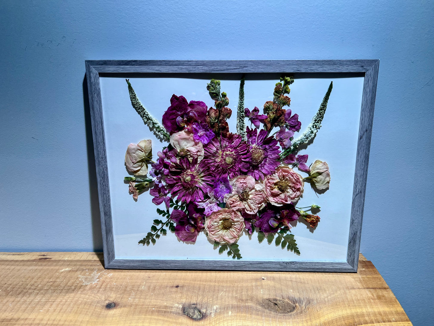 Purple daisy daydreams