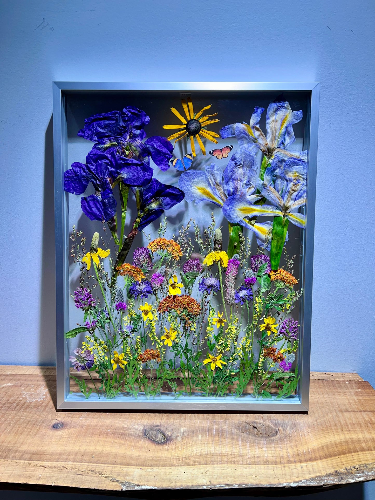 Wild meadows
