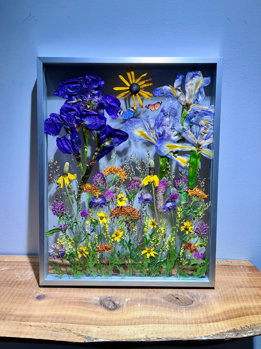 Wild meadows