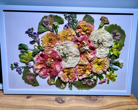 Music box beauty