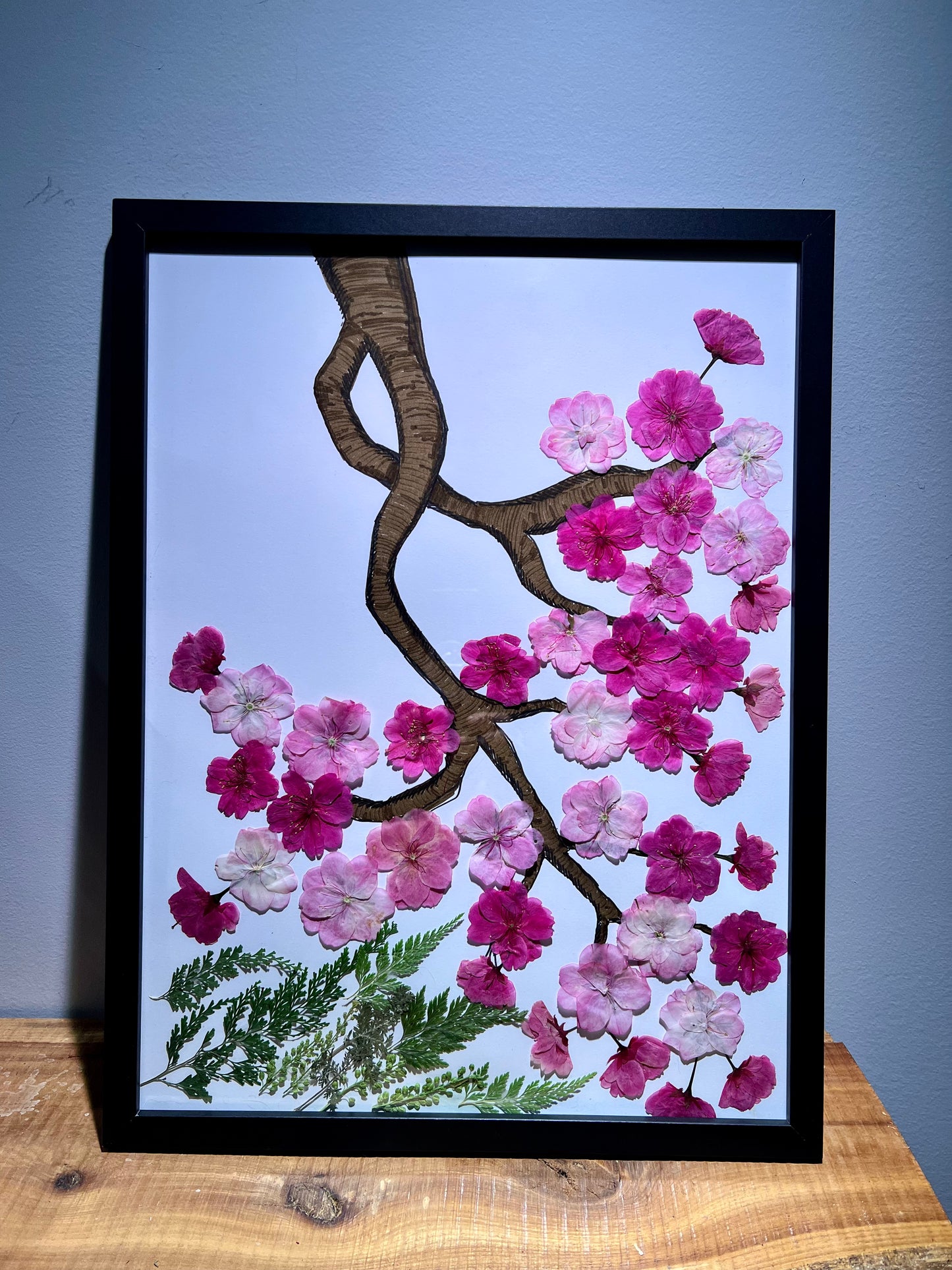 Sakura cherry blossom