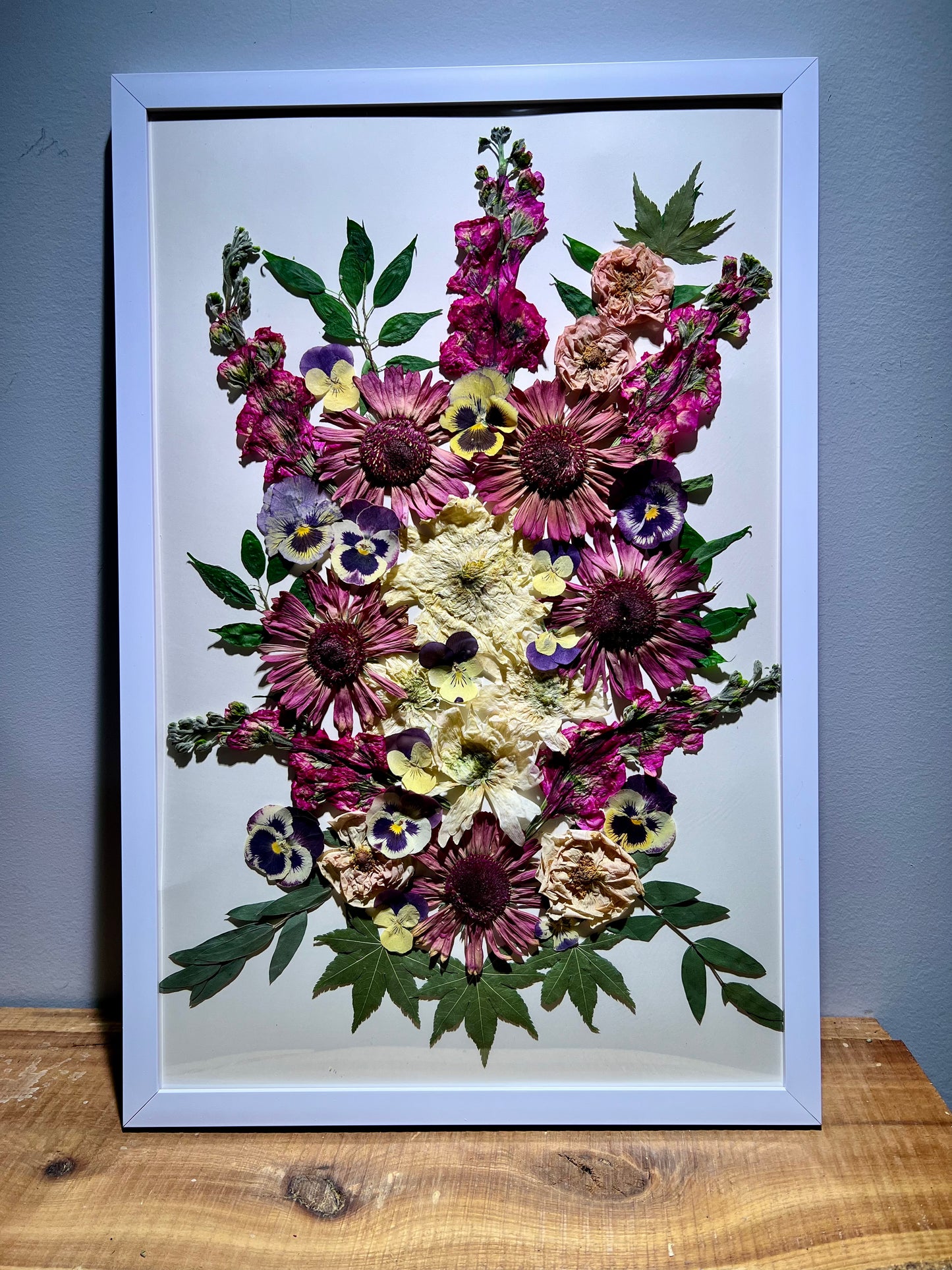 Daisy pansy
