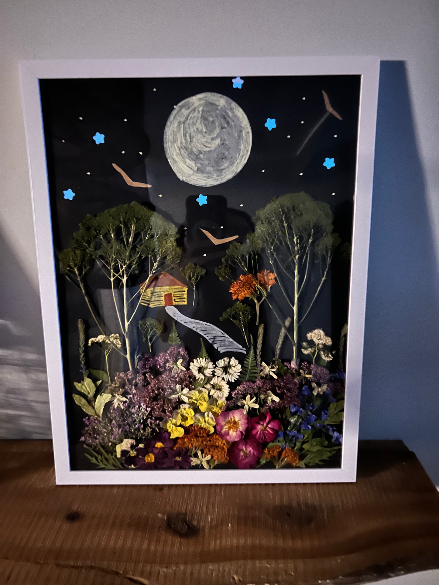 Midnight blooms