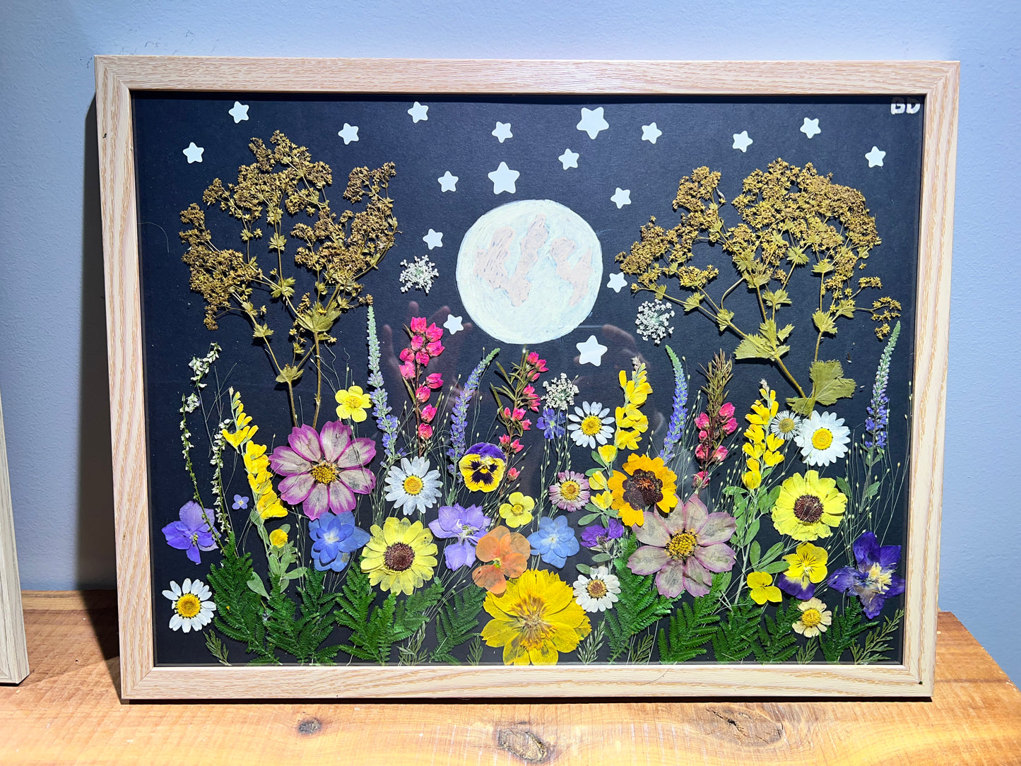 Moonlit meadow