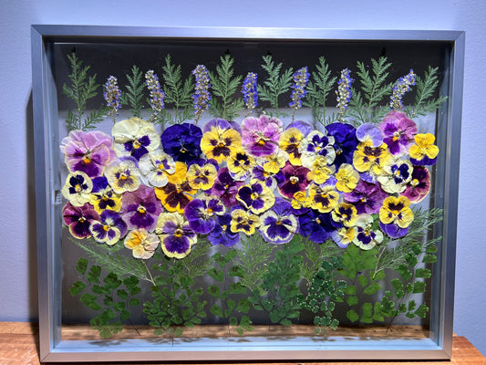 Pansies meadow